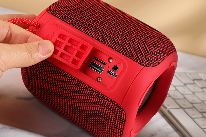 FLS-318 Speaker-09.jpg 